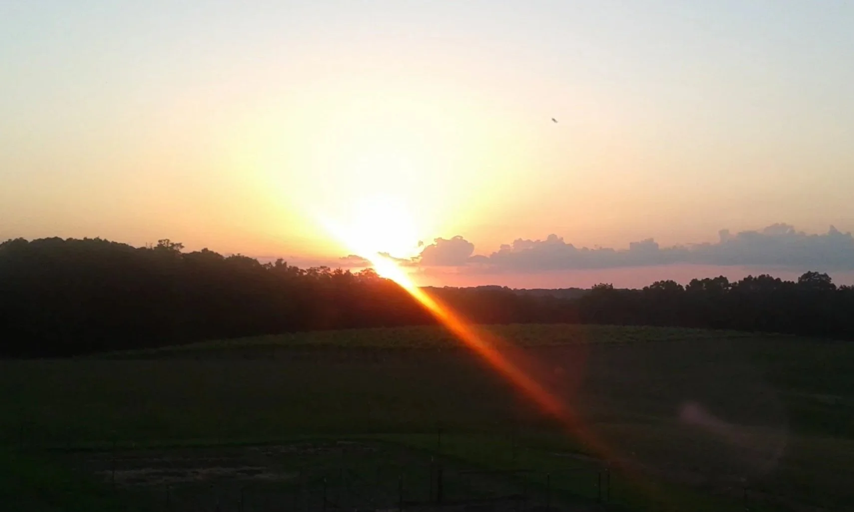 20170526_201634.jpg