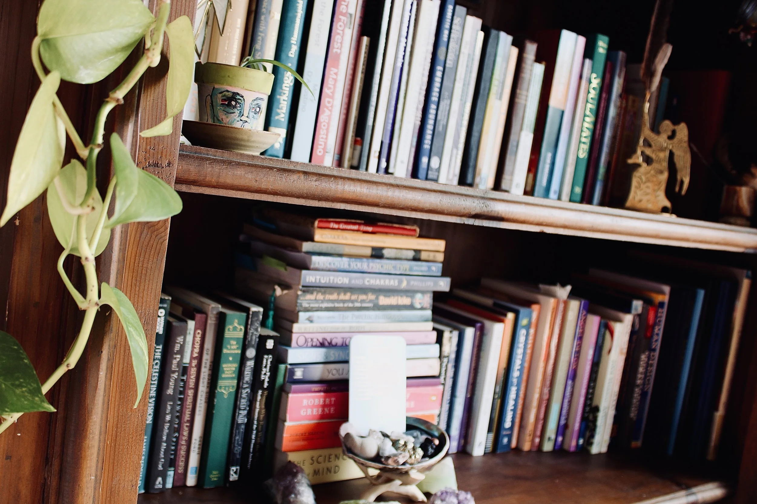 A wooden bookshelf filled with a variety of colorful books, with a small potted plant with green leaves hanging over the edge and a smaller plant in front of the shelf.