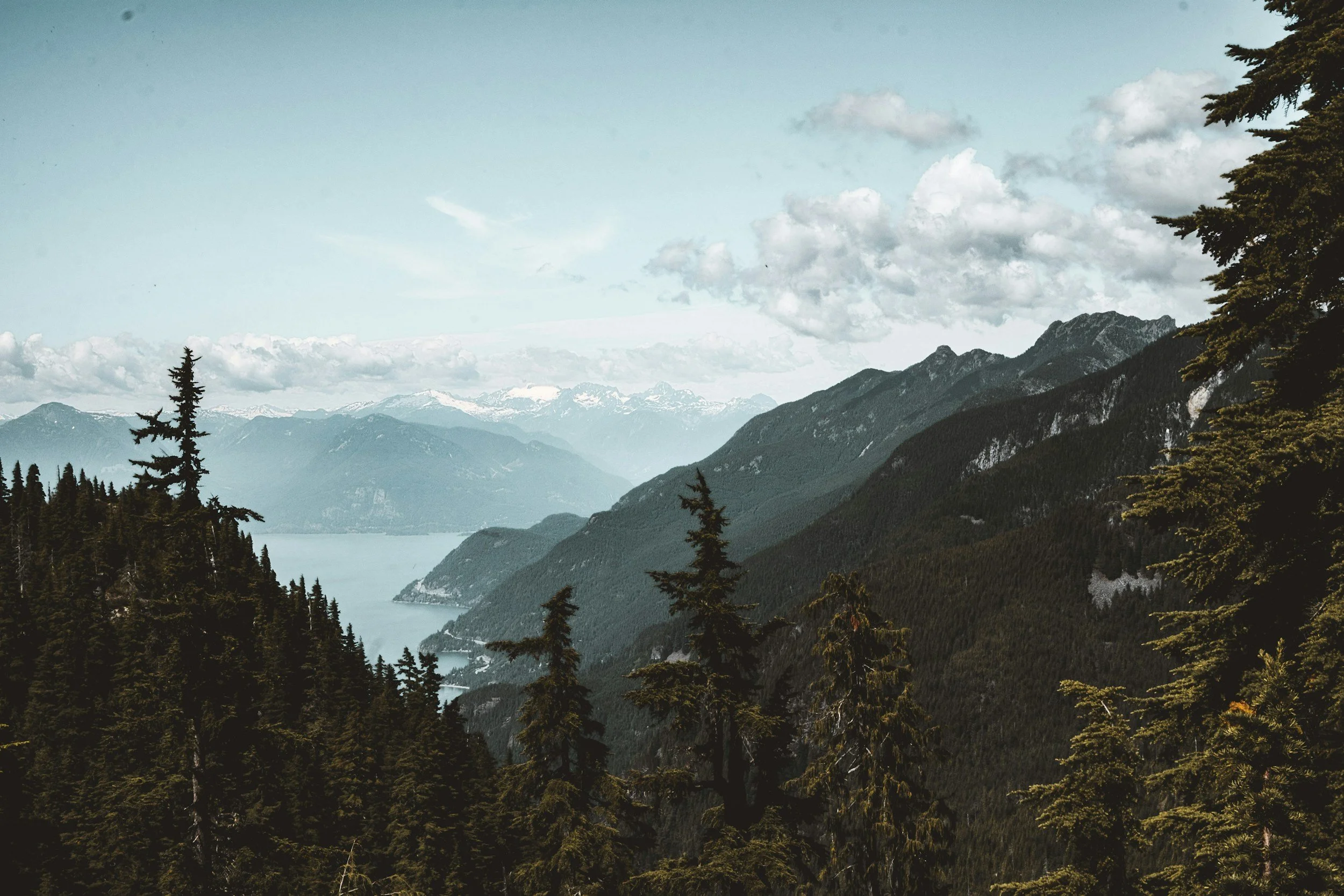 View of a mountain landscape with snow-capped peaks, dense forest in the foreground, and a large body of water at the base of the mountains under a cloudy sky.