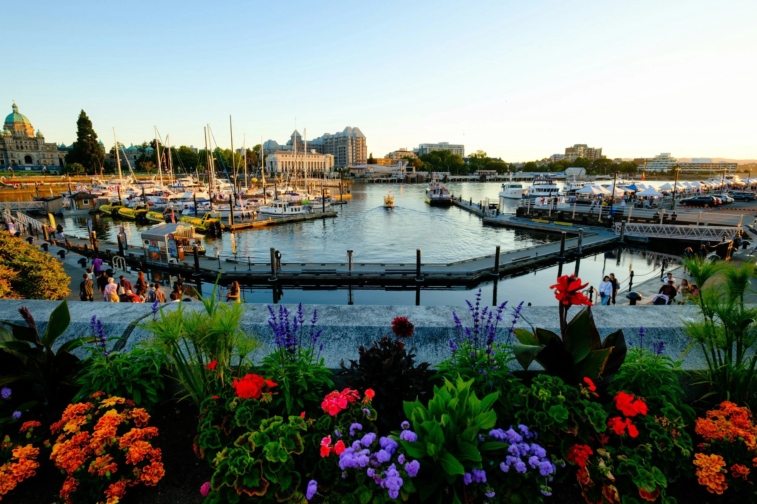 A vibrant city marina scene during sunset, with colorful flowers in the foreground, boats docked at the marina, and a skyline of historic and modern buildings in the background.