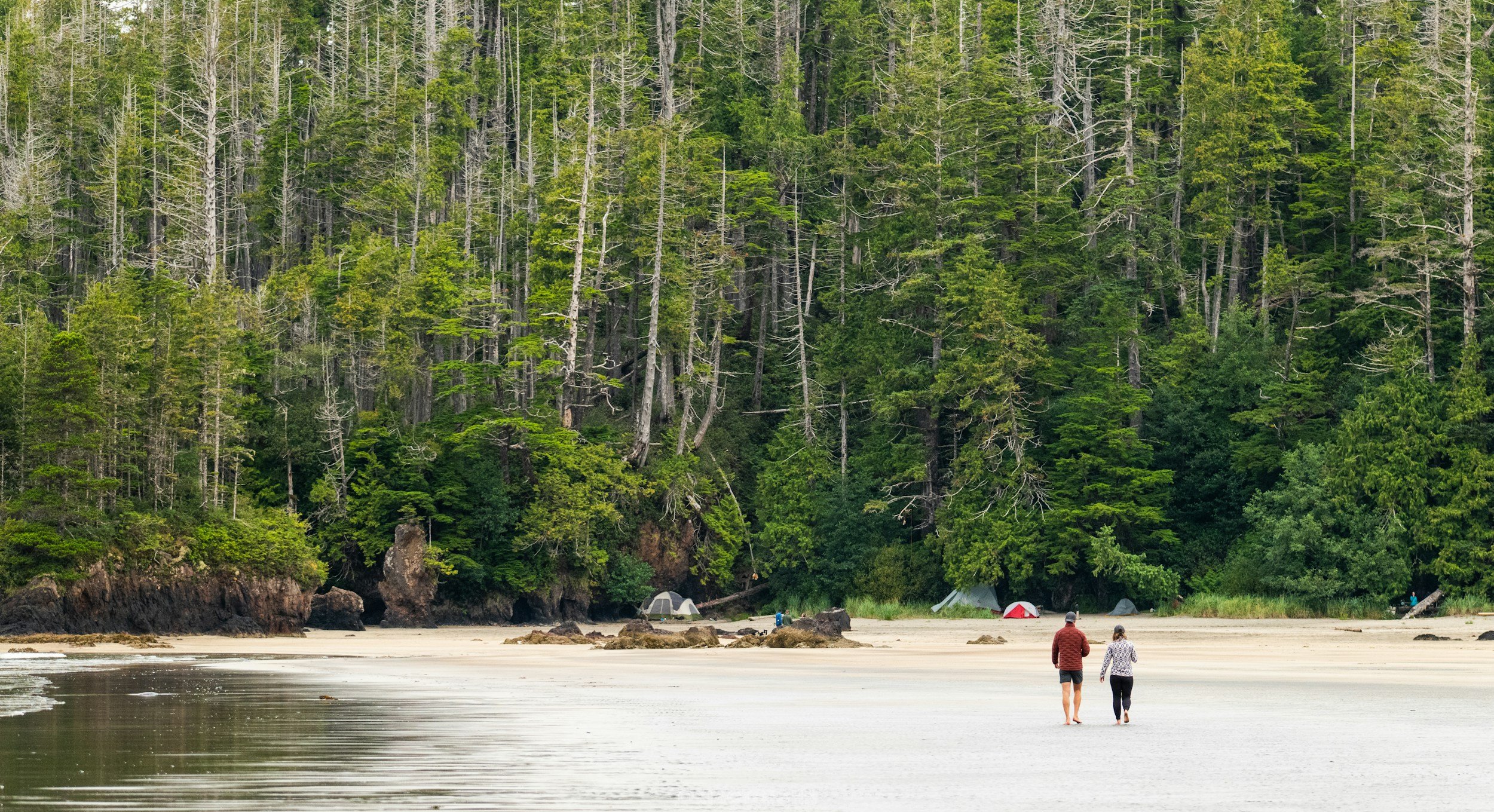 Two people walking along a sandy beach, with large rocks near the shoreline, and a dense forest of tall green trees in the background. Several tents are set up at the edge of the trees.