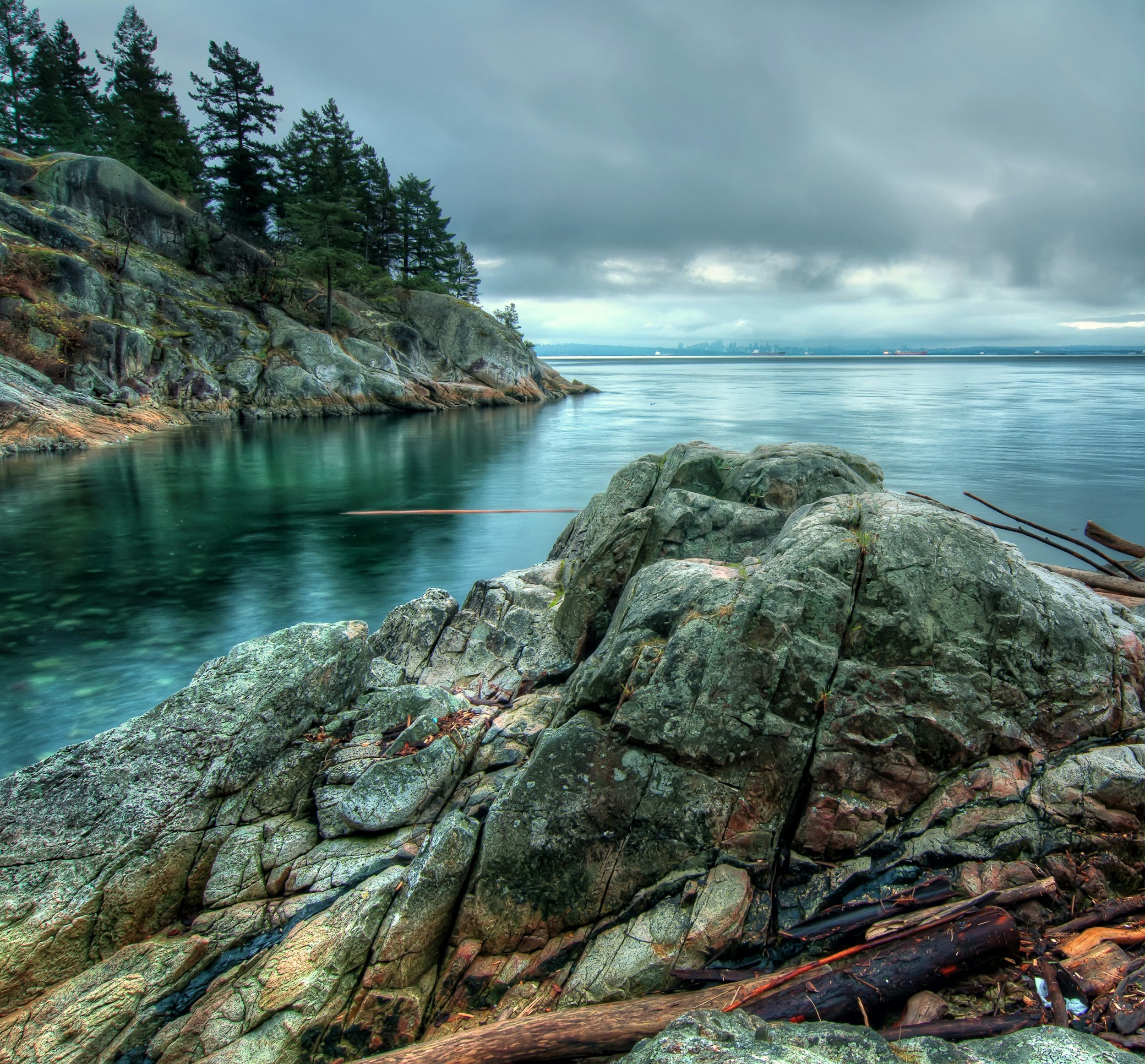 Overcast day at rocky coastline with pine trees on a hillside and calm water, with a city skyline visible in the distance.