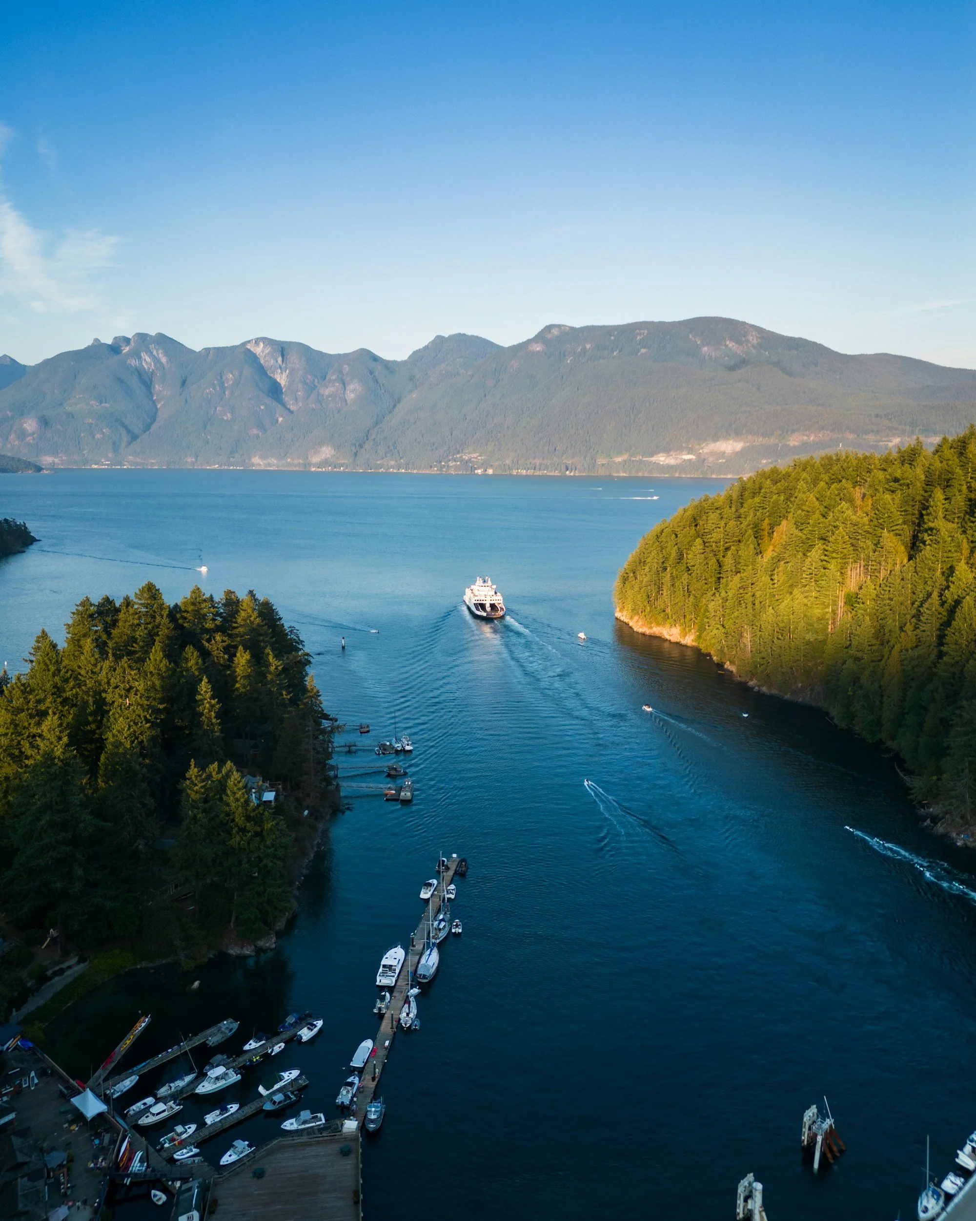 A scenic view of a calm lake with boats and yachts docked at a marina, surrounded by lush green trees and mountains under a bright blue sky.