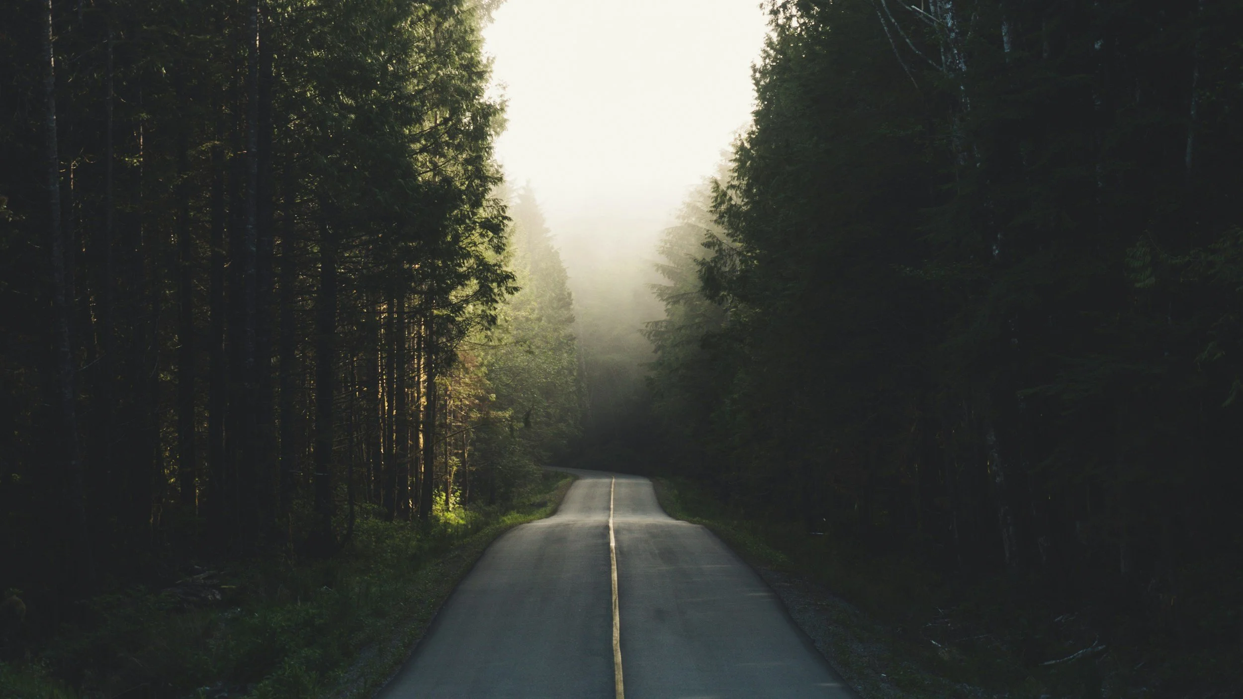 A narrow, winding road running through a dense forest with tall trees on both sides, sunlight shining through the fog in the background.