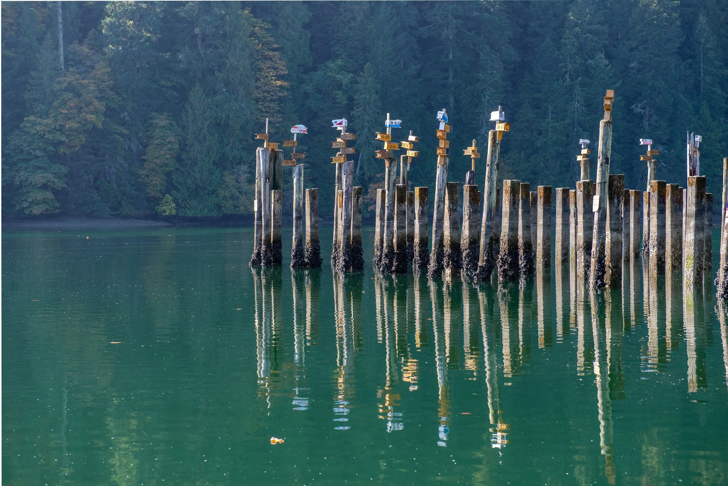 A series of wooden pylons sticking out of the water, each with small boats and signs on top. The water is green and calm, with trees and forest in the background.