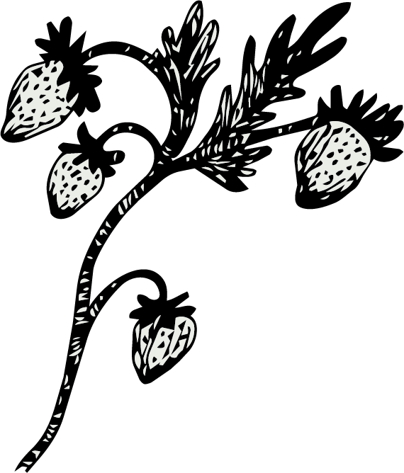 Black and white abstract floral design with leaves and flower shapes.