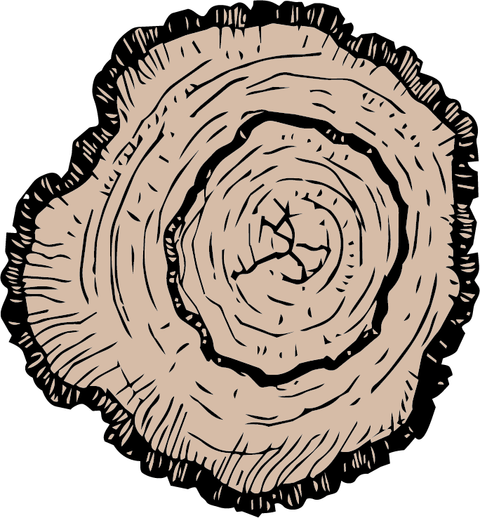 Drawing of a tree trunk cross-section, showing growth rings and bark.