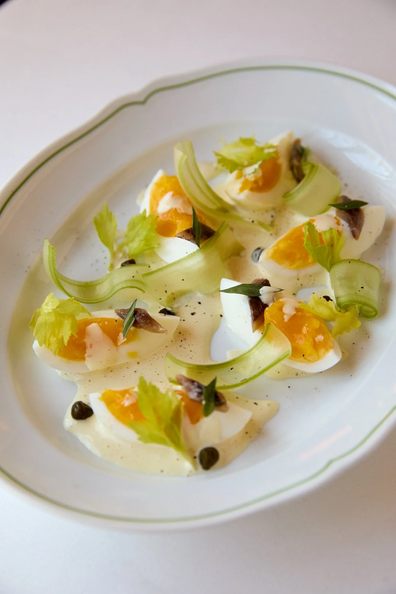 Eggs, celery,  and anchovies garnished with celery, herbs, and capers on a white plate with green trim.