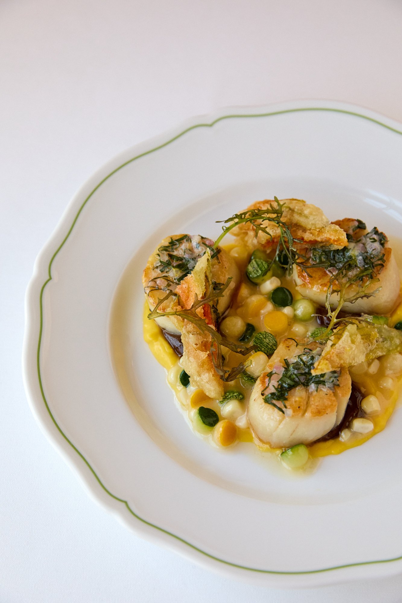 A white porcelain plate with a green rim features seared scallops topped with herbs, served with colorful vegetables including peas and corn in a sorrel butter.
