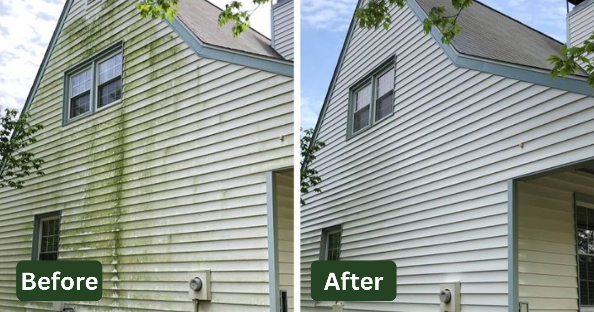 Side view of a house exterior showing before and after cleaning; the left side shows green mold and dirt stains on the siding, while the right side has clean white siding.