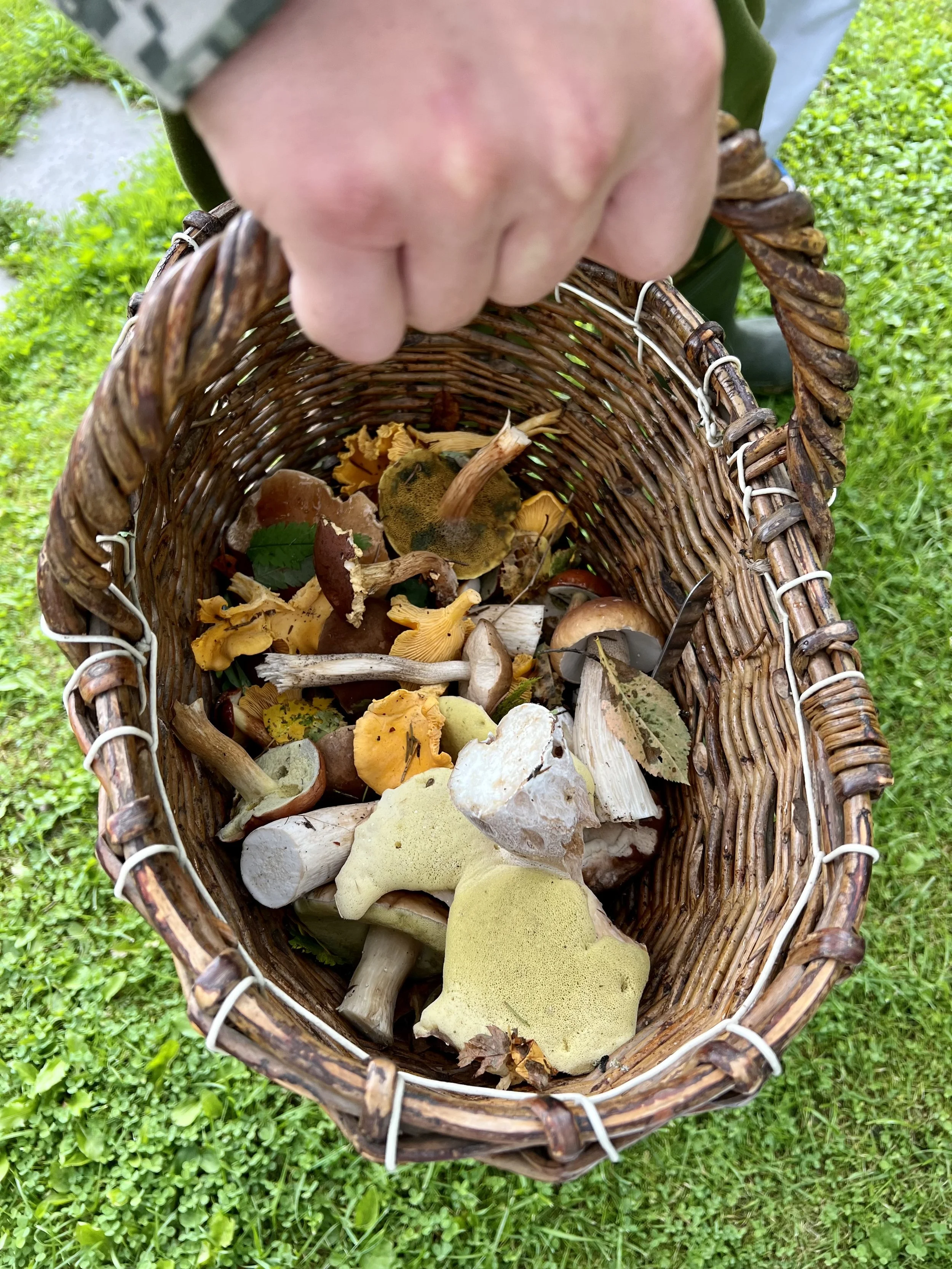 A woven basket filled with various mushrooms and autumn leaves, held above green grass.