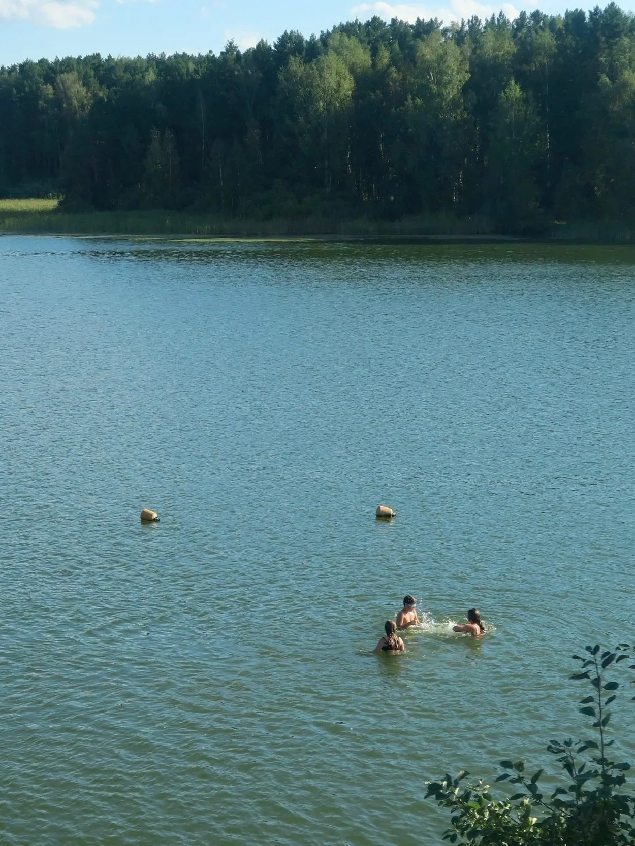 People swimming and relaxing in a lake with trees in the background.