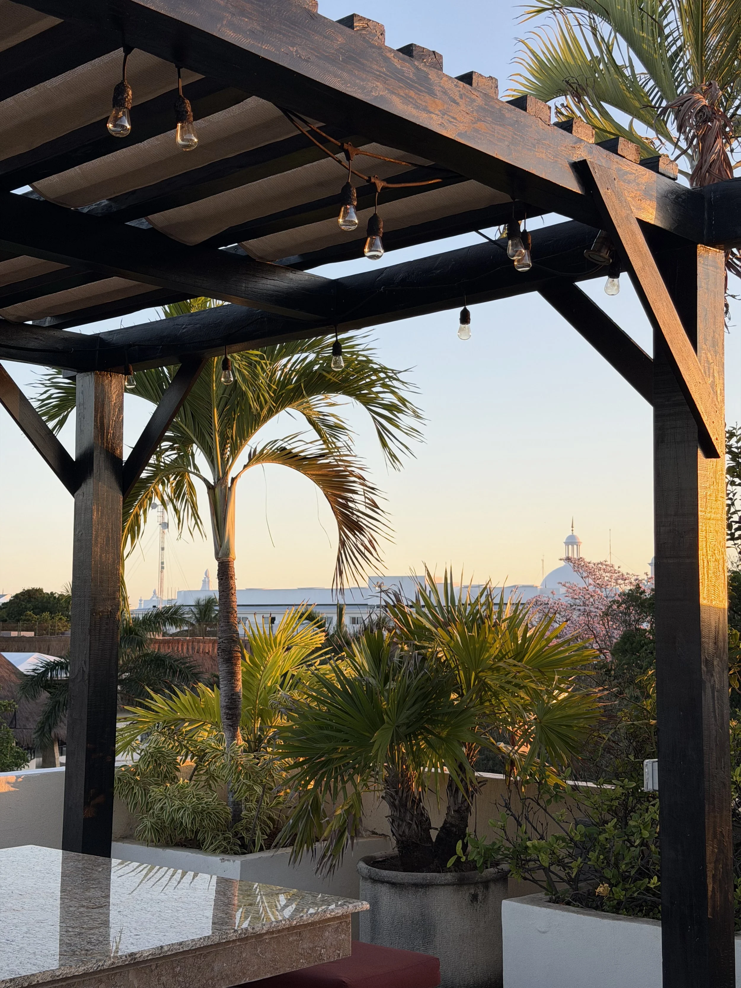 Picnic table made of granite on a patio, surrounded by potted tropical plants, with a pergola and string lights overhead, and a clear sky at sunset in the background.