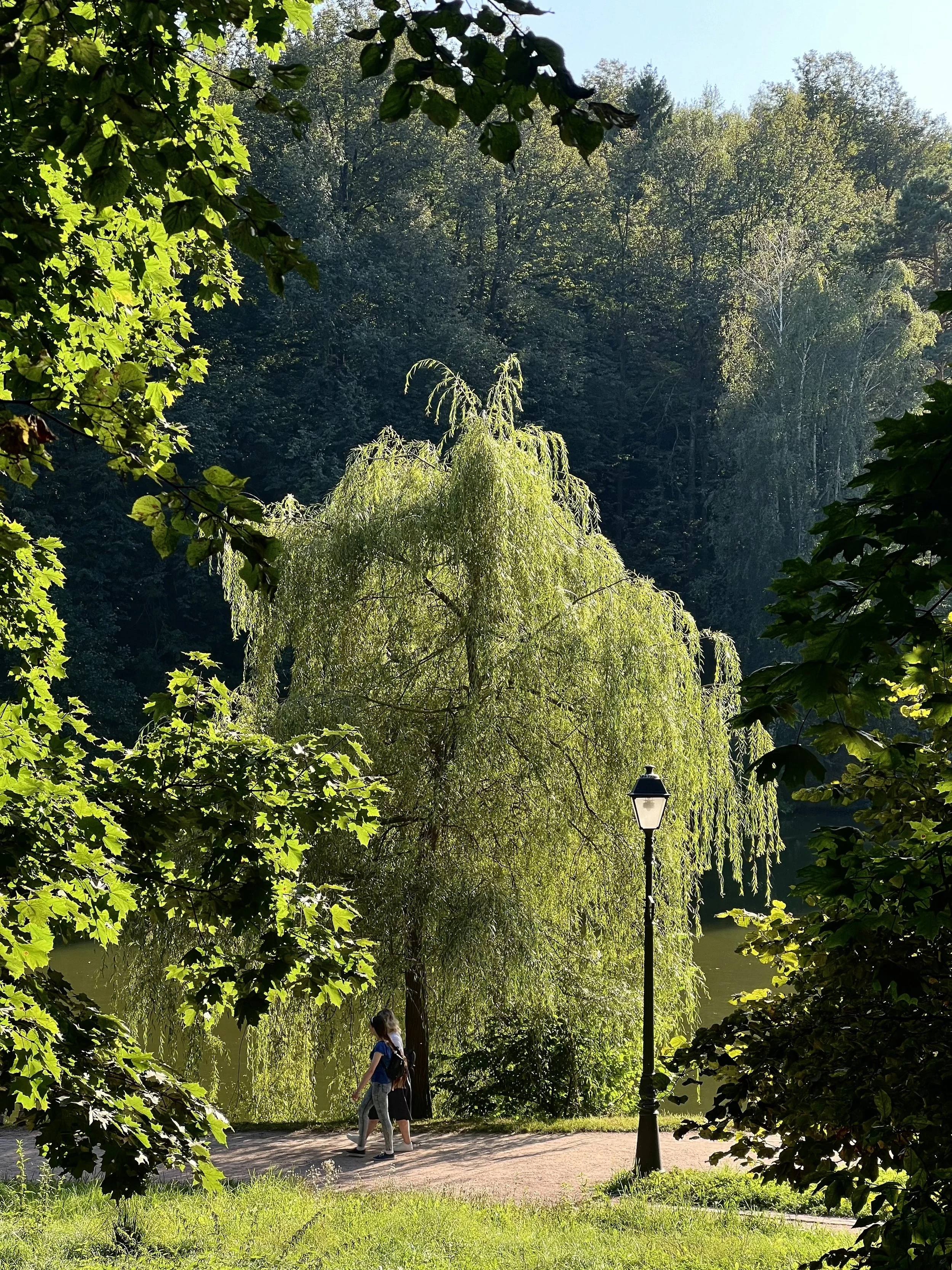 People walking along a park path surrounded by lush green trees and foliage, with a lake visible in the background, and a lamppost on the right side of the scene.
