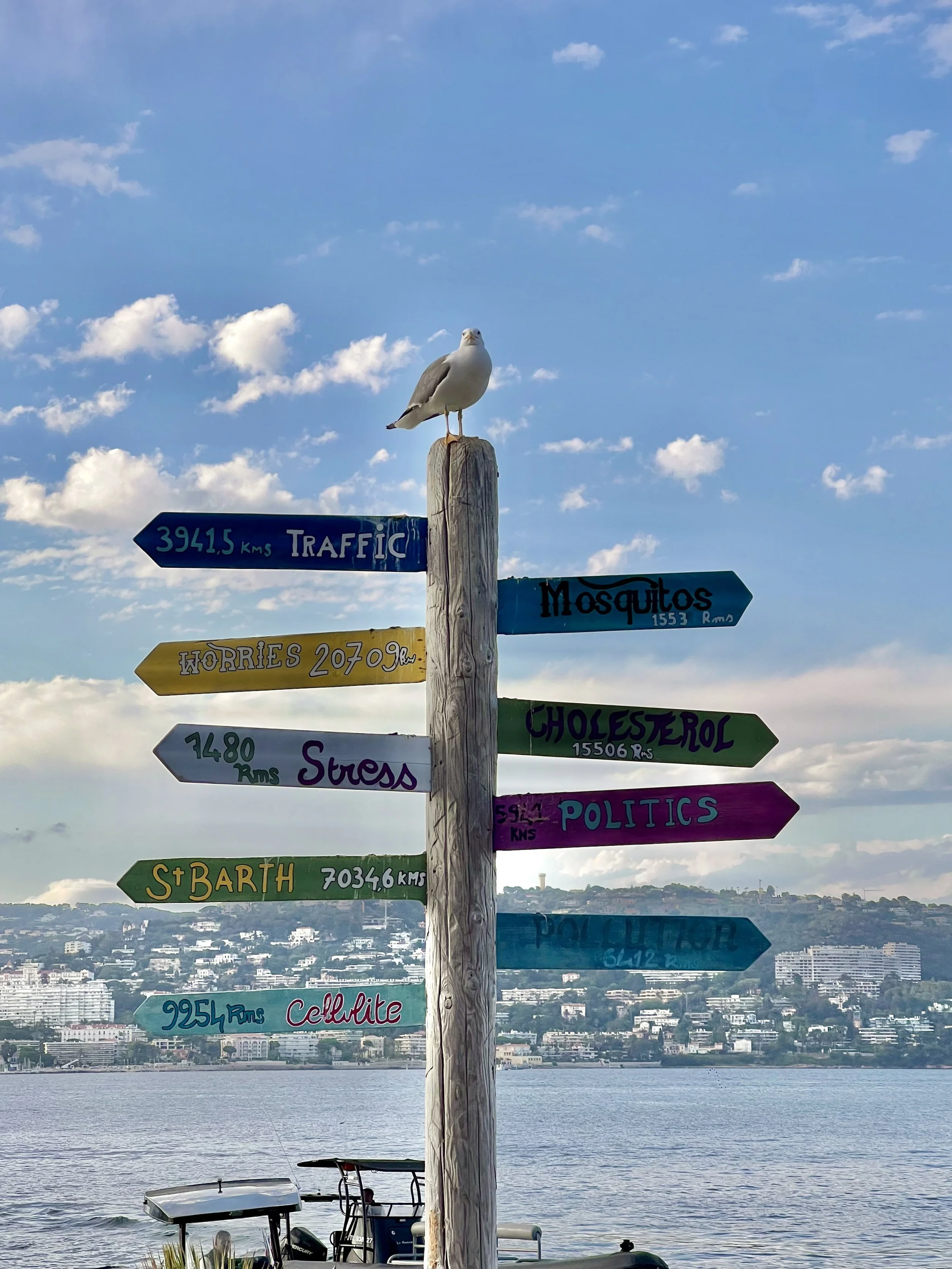Colorful signpost with a seagull perched on top, pointing to various locations and distances in kilometers, set against a city skyline and water.