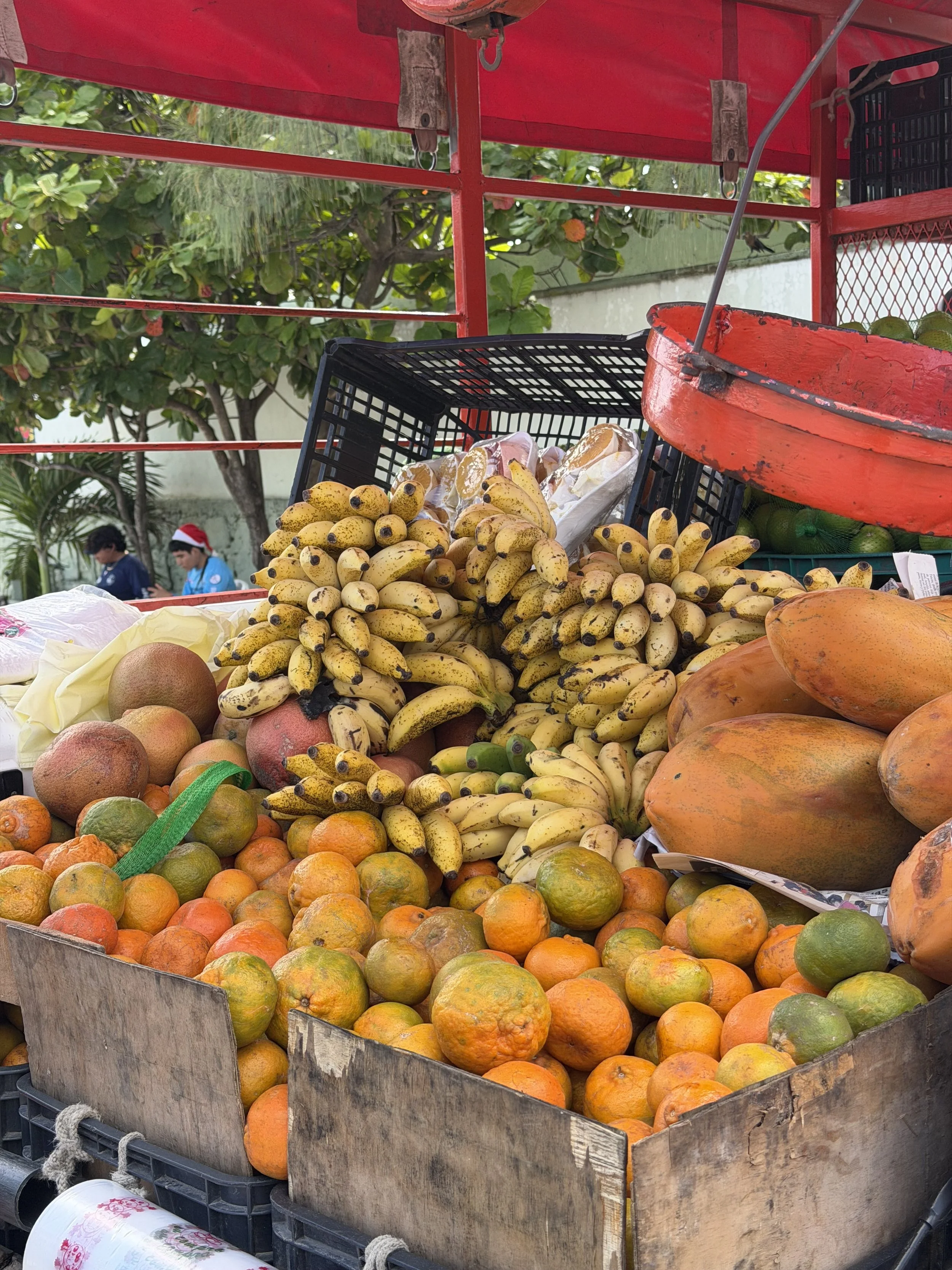 A truck filled with fresh fruits including bananas, oranges, and papayas at an outdoor market, with two women in the background shopping.