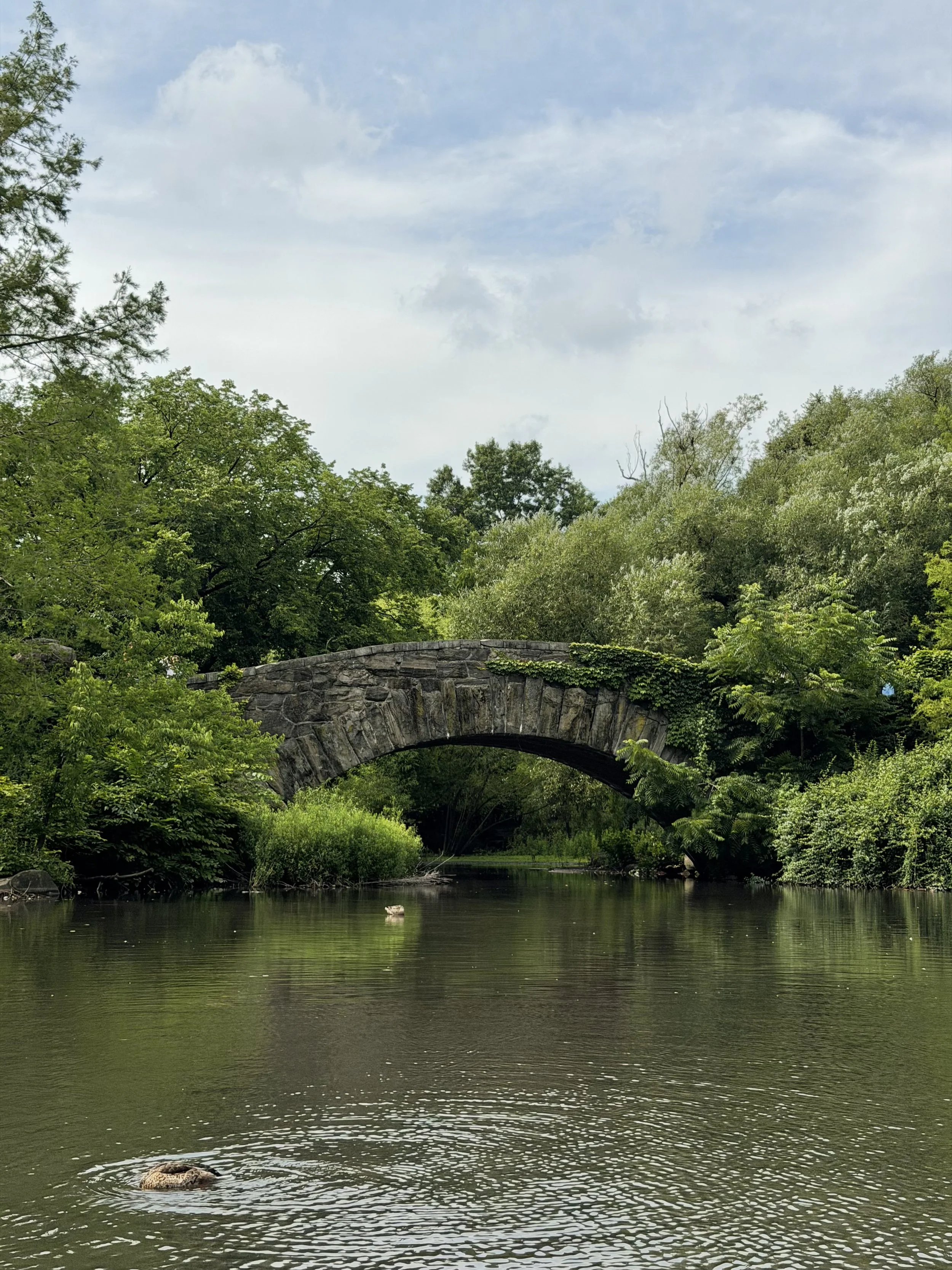 A stone bridge over a calm river surrounded by lush green trees under a cloudy sky.