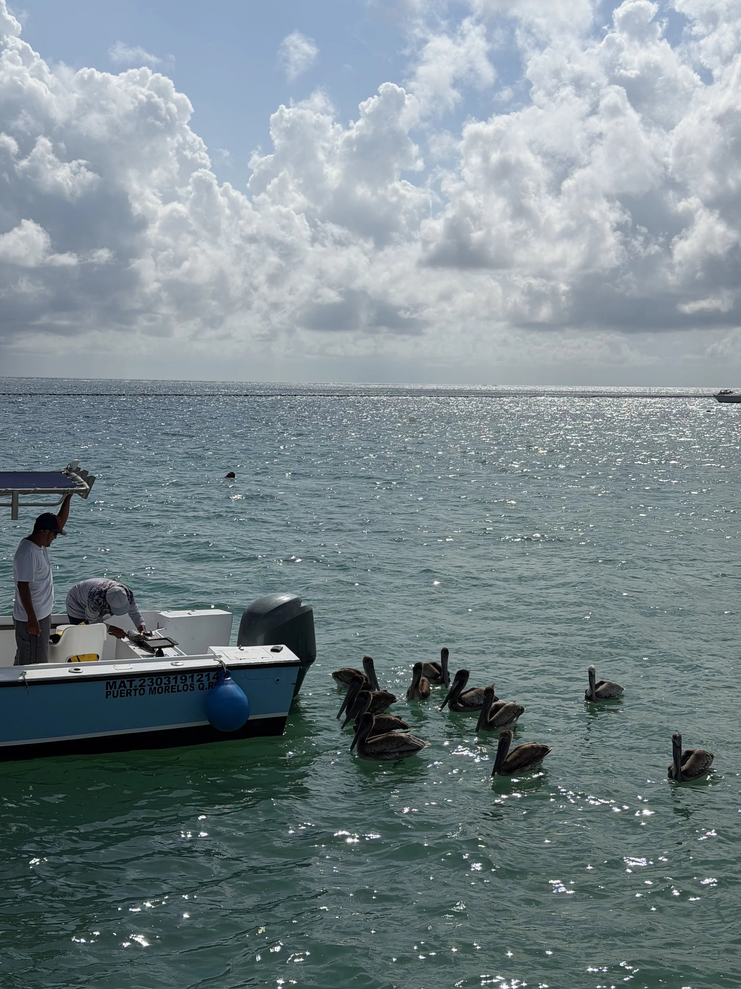 Boats on the water with a person preparing equipment, and a group of ducks swimming near the boat. The scene is set on a sunny day with clouds in the sky.