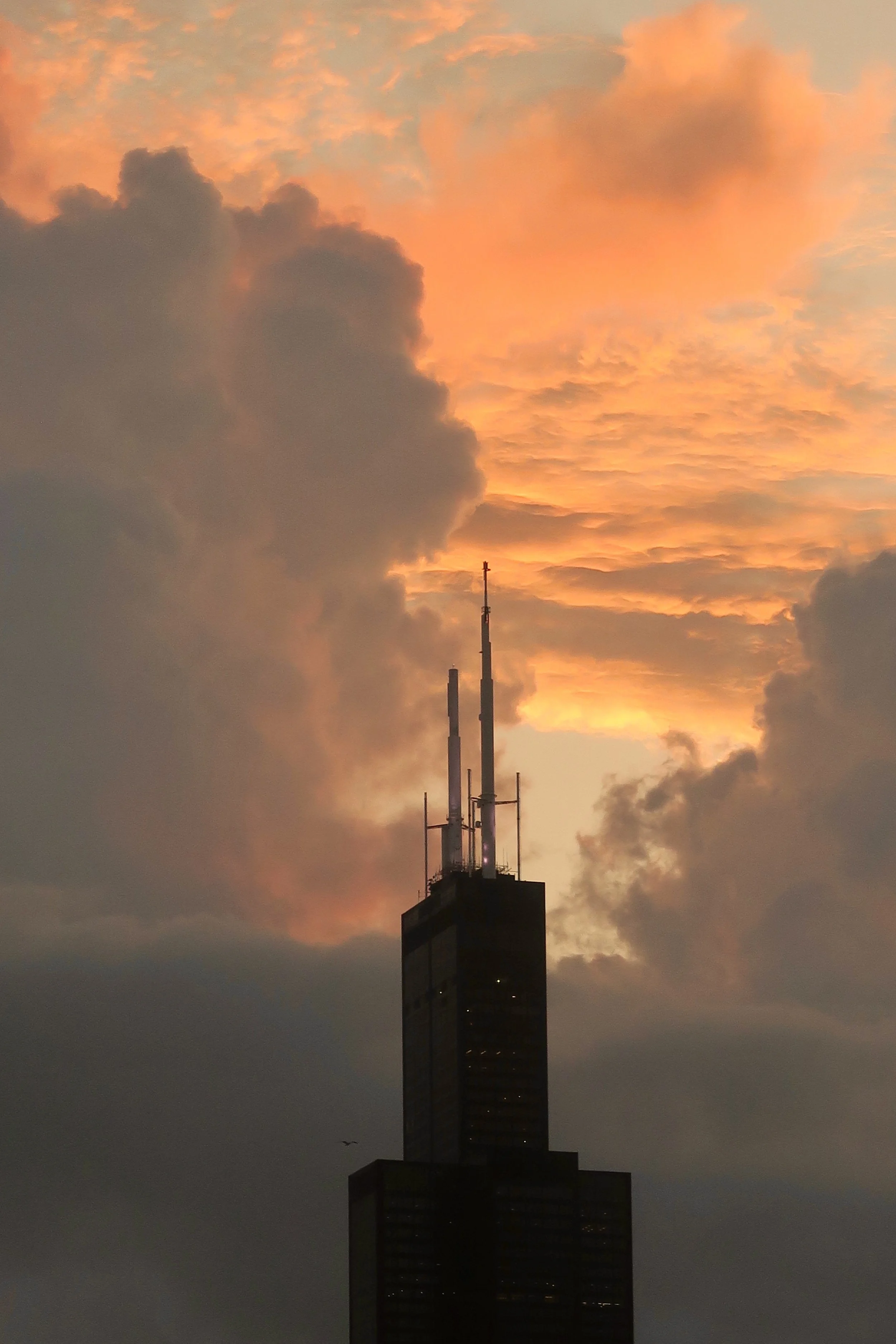 Chicago Willis Tower against a sunset sky with orange and pink clouds.