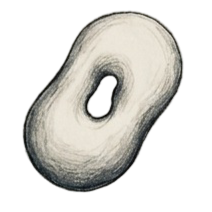 Close-up van een gesneden ui
