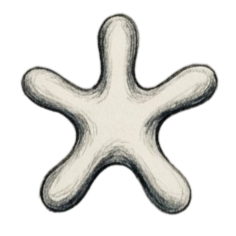 Een witte, stervormige object met zes uitsteeksels.