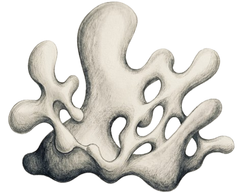 Een abstracte, witte en grijze vorm die lijkt op een schelp of organisatielijk structuur