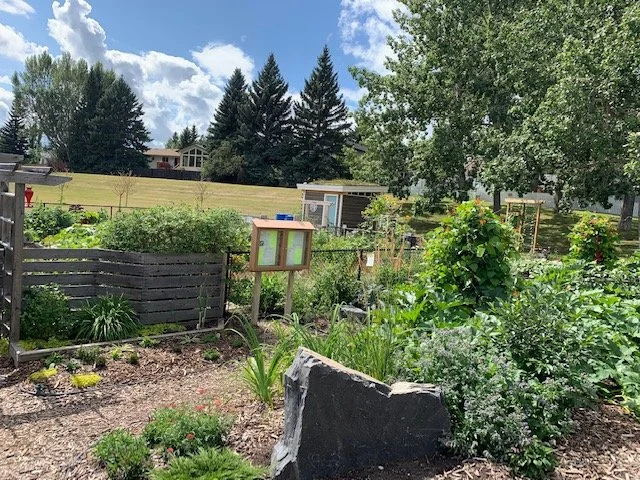 A community garden with various plants and vegetables, a wooden fence, and a small shed in the background. There are trees and houses visible beyond the garden on a partly cloudy day.