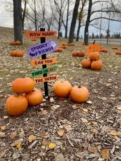 Maria &amp; Tim’s Annual Pumpkin Patch