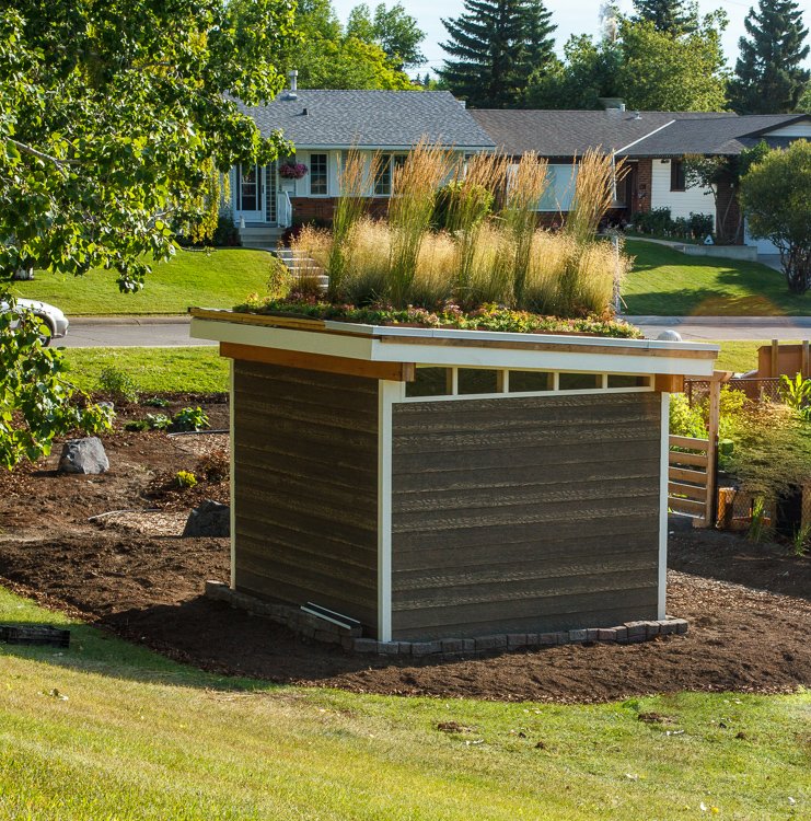 A small wooden garden shed with a flower bed on top, filled with tall ornamental grasses, situated in a landscaped yard with houses and trees in the background.