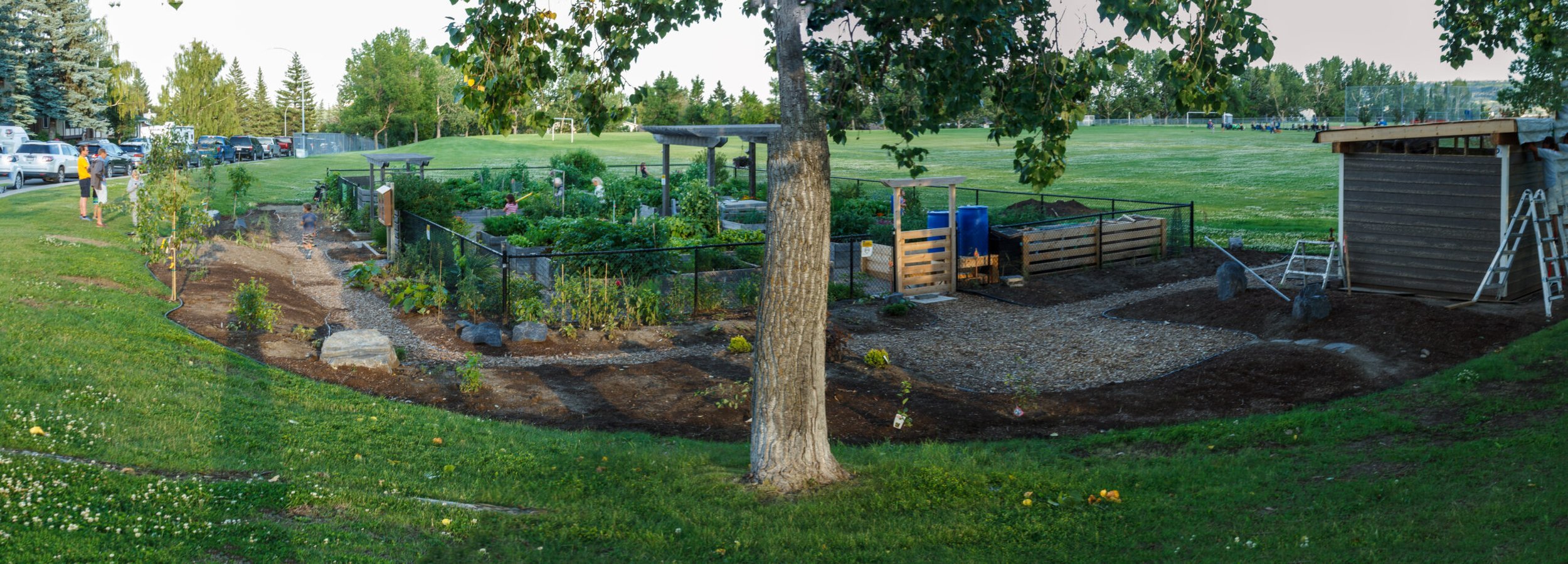A community garden with people in the background, surrounded by a fence, located in a park with a large grassy field and sports courts.
