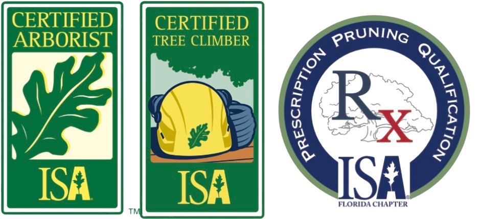Three logos related to ISA certifications: a Certified Arborist logo with a leaf, a Certified Tree Climber logo with a helmet and tree, and a Prescribing Pruning Qualification logo with a map of Florida and ISA branding.