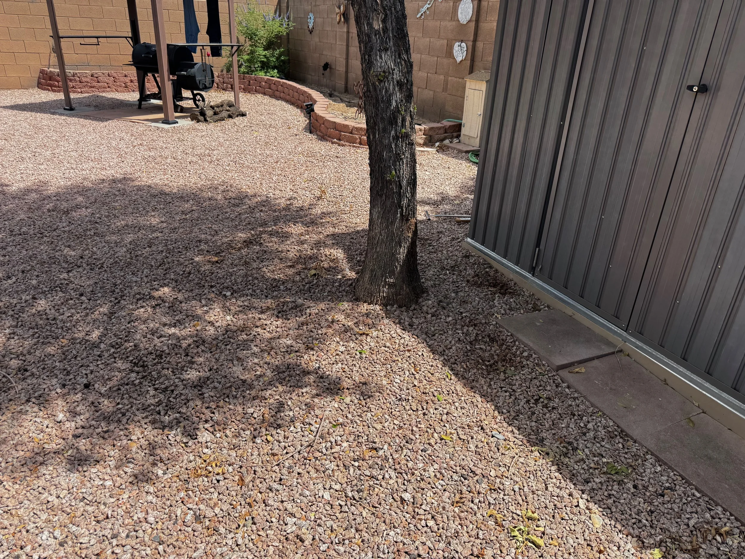 Shed built within a tree's root zone