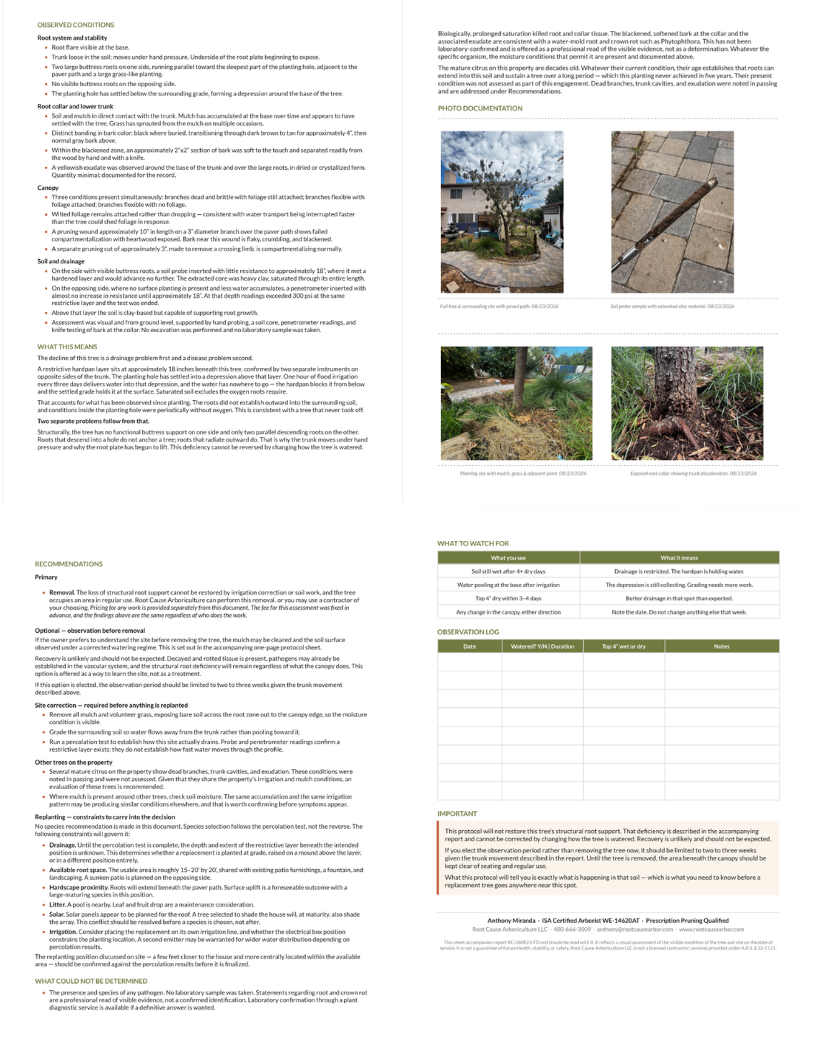 Example of written diagnostic summary and recommended findings