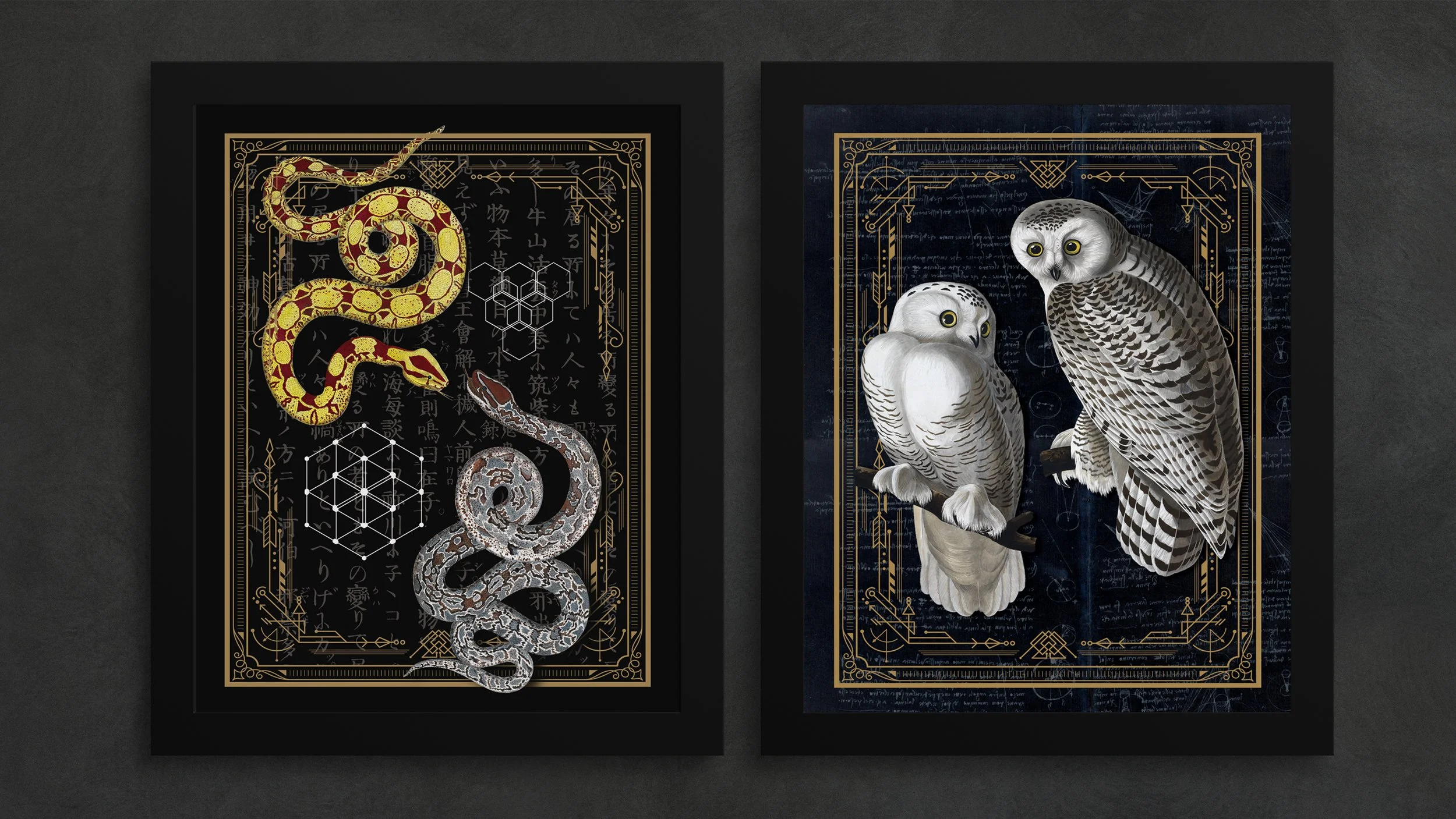 harry_potter_prints.jpg