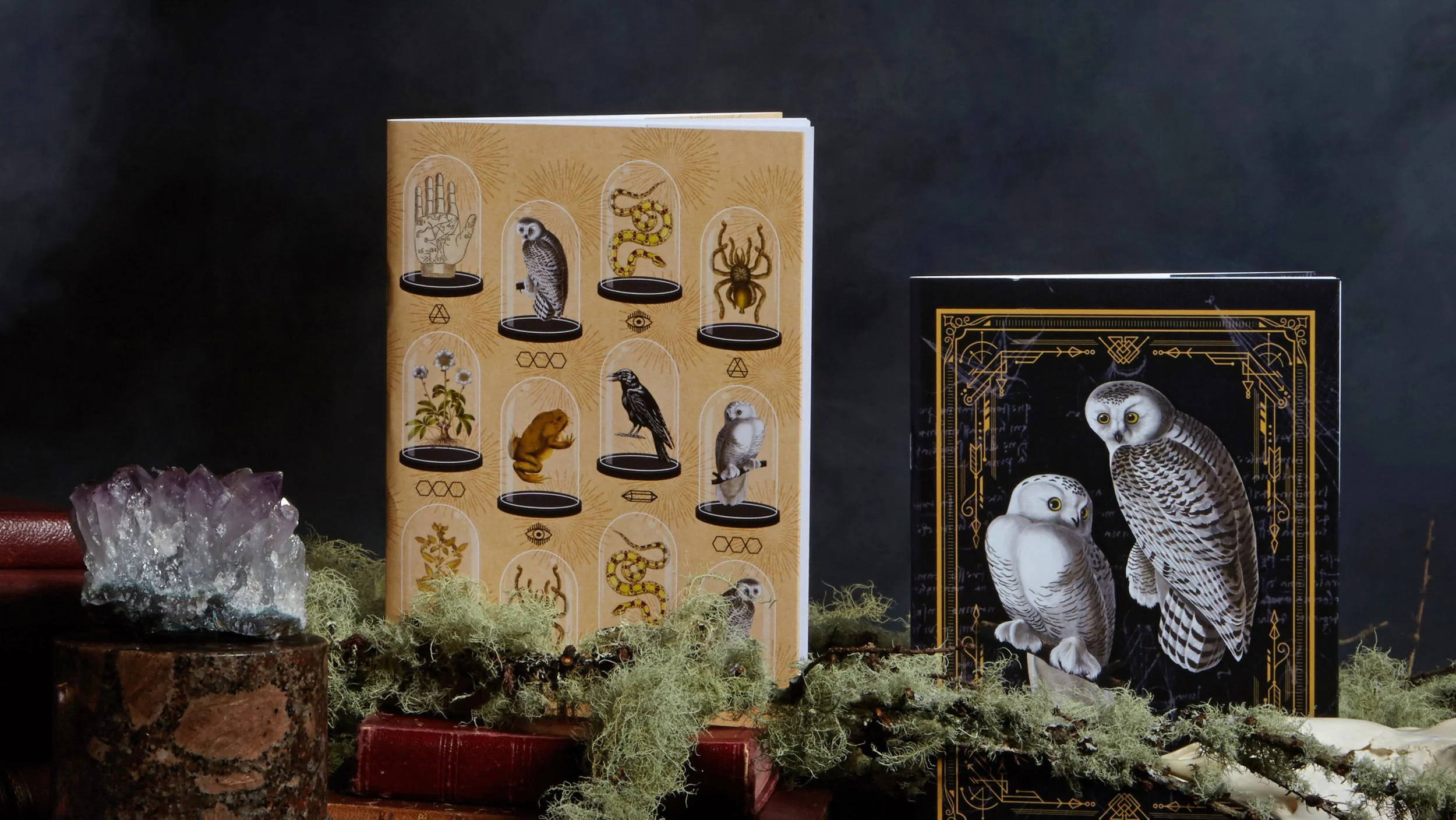 harry_potter_notebooks.jpg