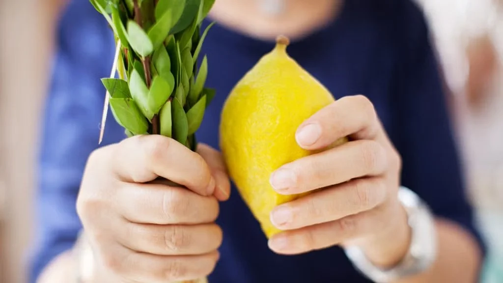 Lulav & Etrog Sets