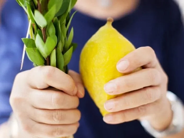 sukkot-woman-holding-lulav-etrog-cropped+%281%29.jpg