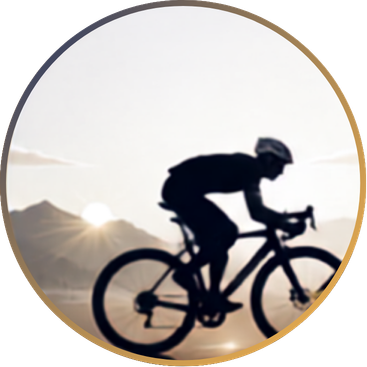 Silhouette of a person riding a mountain bike at sunset with mountains in the background.
