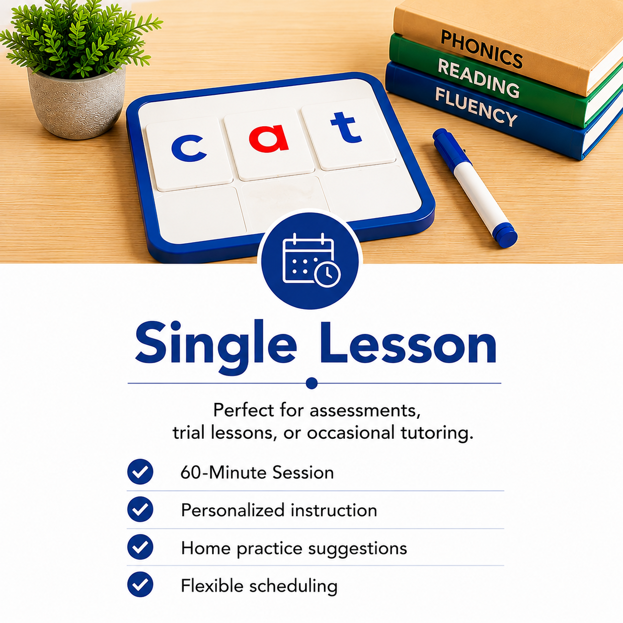 Single Lesson