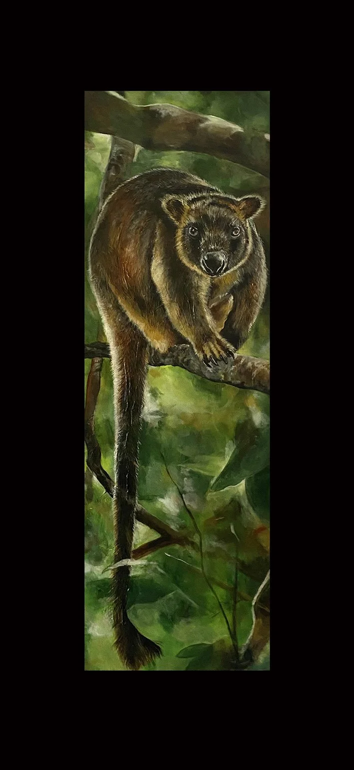 Chalanni_treekangaroo_vertical_flat.jpg