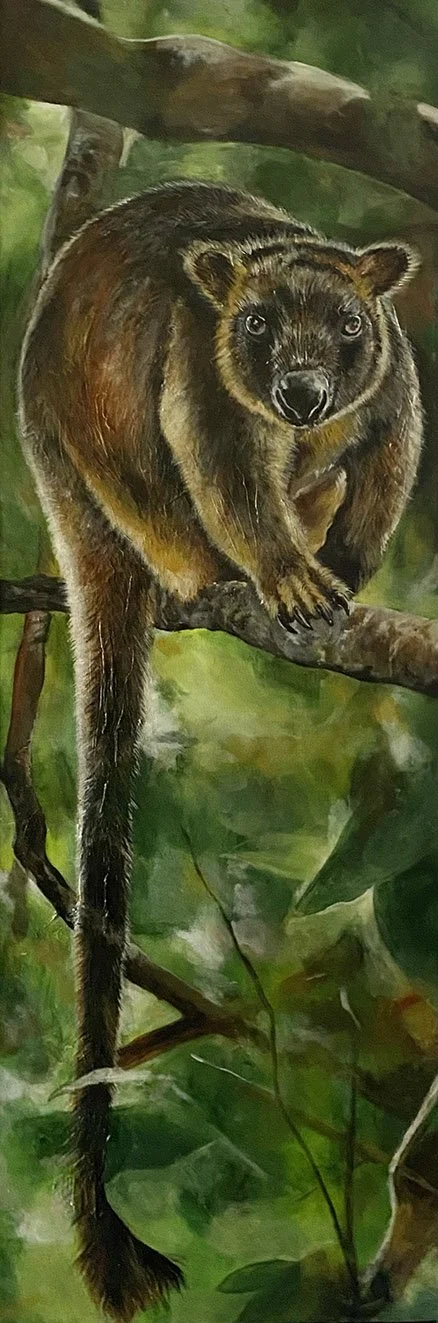 Chalanni_treekangaroo_wip_5.jpg