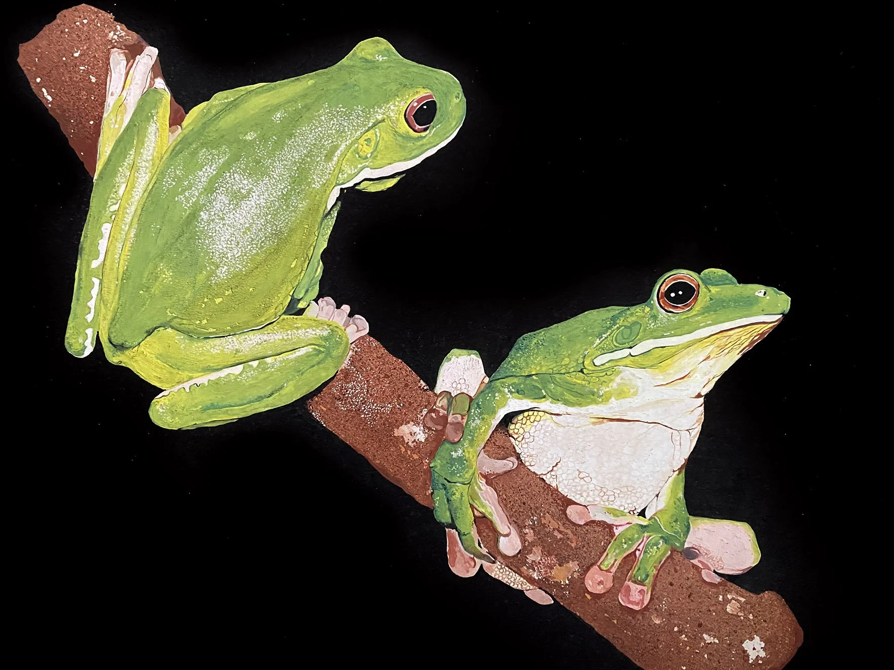 Chalanni_Gouache Frogs.jpg