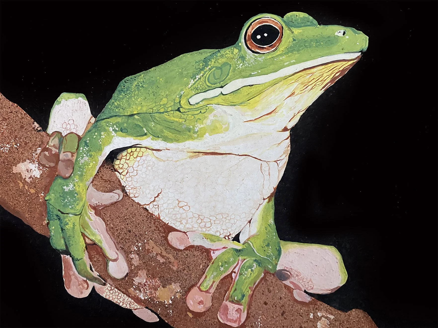 Chalanni_Gouache Frogs_3.jpg