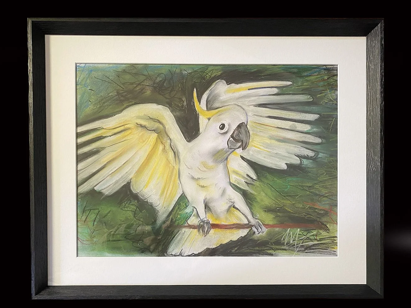 Emerald Cockatoo Flightv3.jpg
