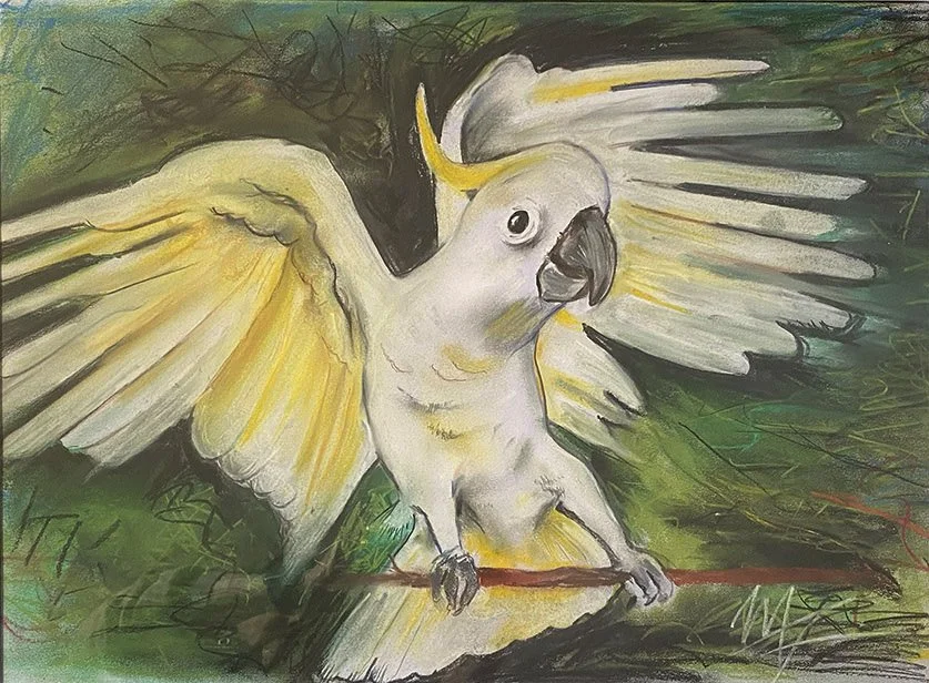 Emerald Cockatoo Flight