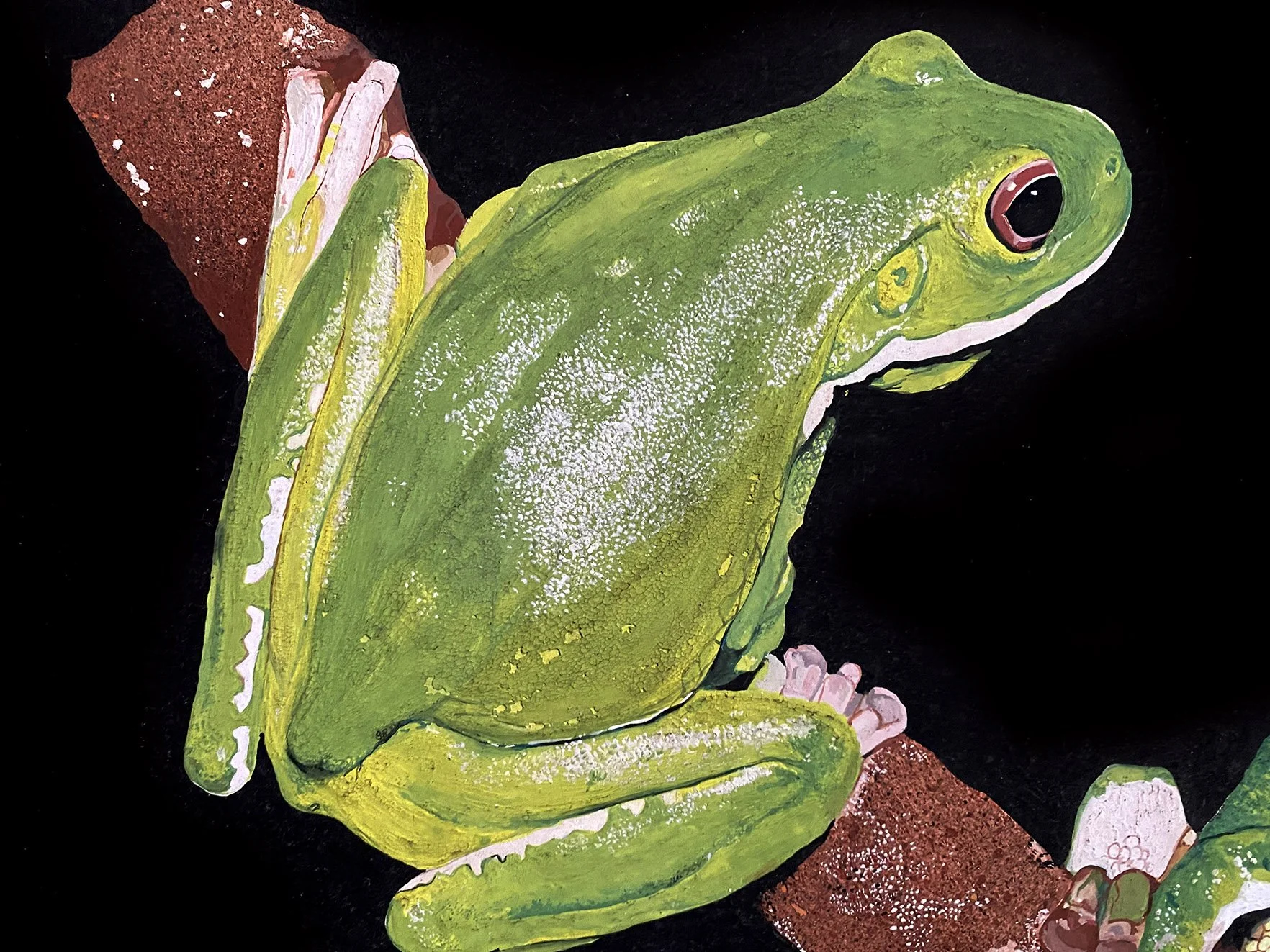 Chalanni_Gouache Frogs_2.jpg