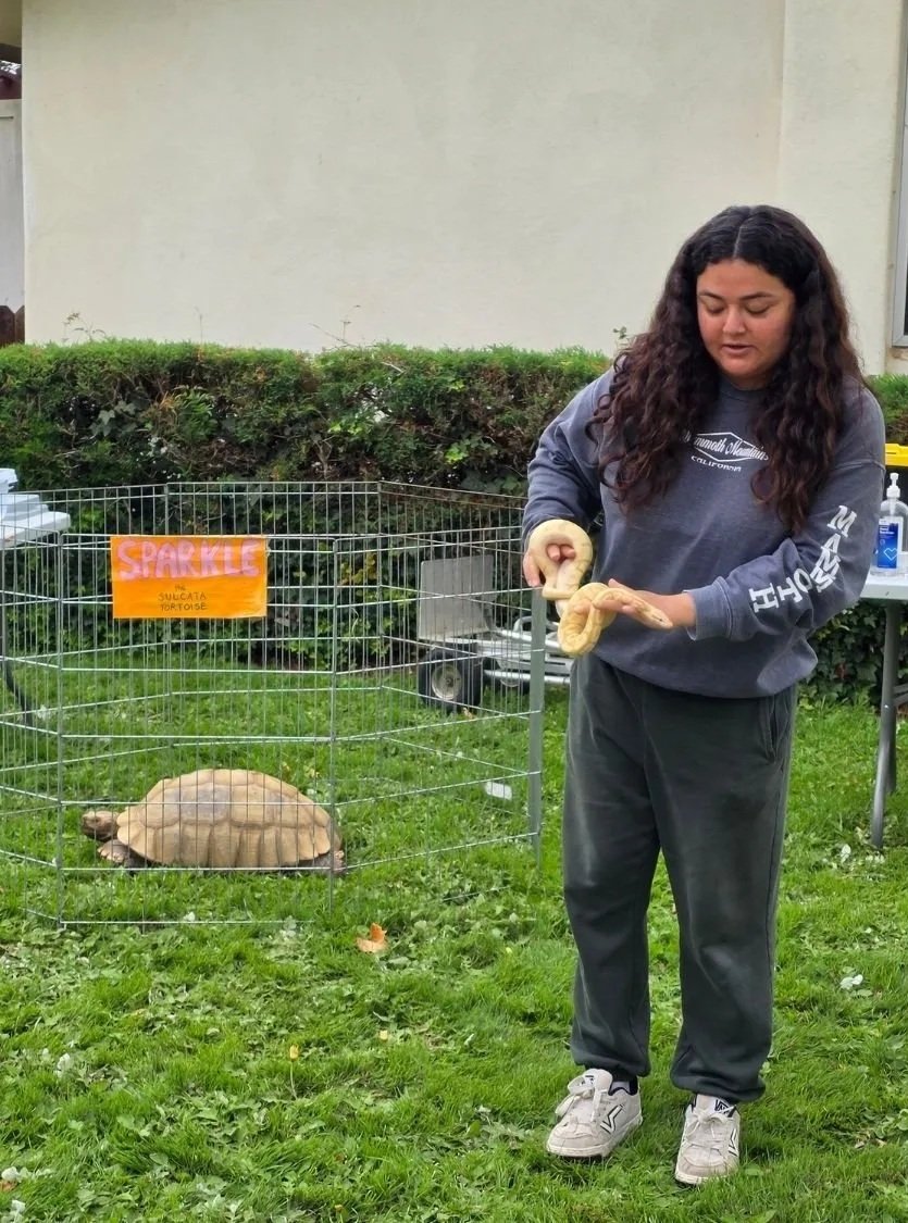 A young woman with long curly hair holding a snake near a small outdoor animal enclosure with a turtle inside, on a grassy area.
