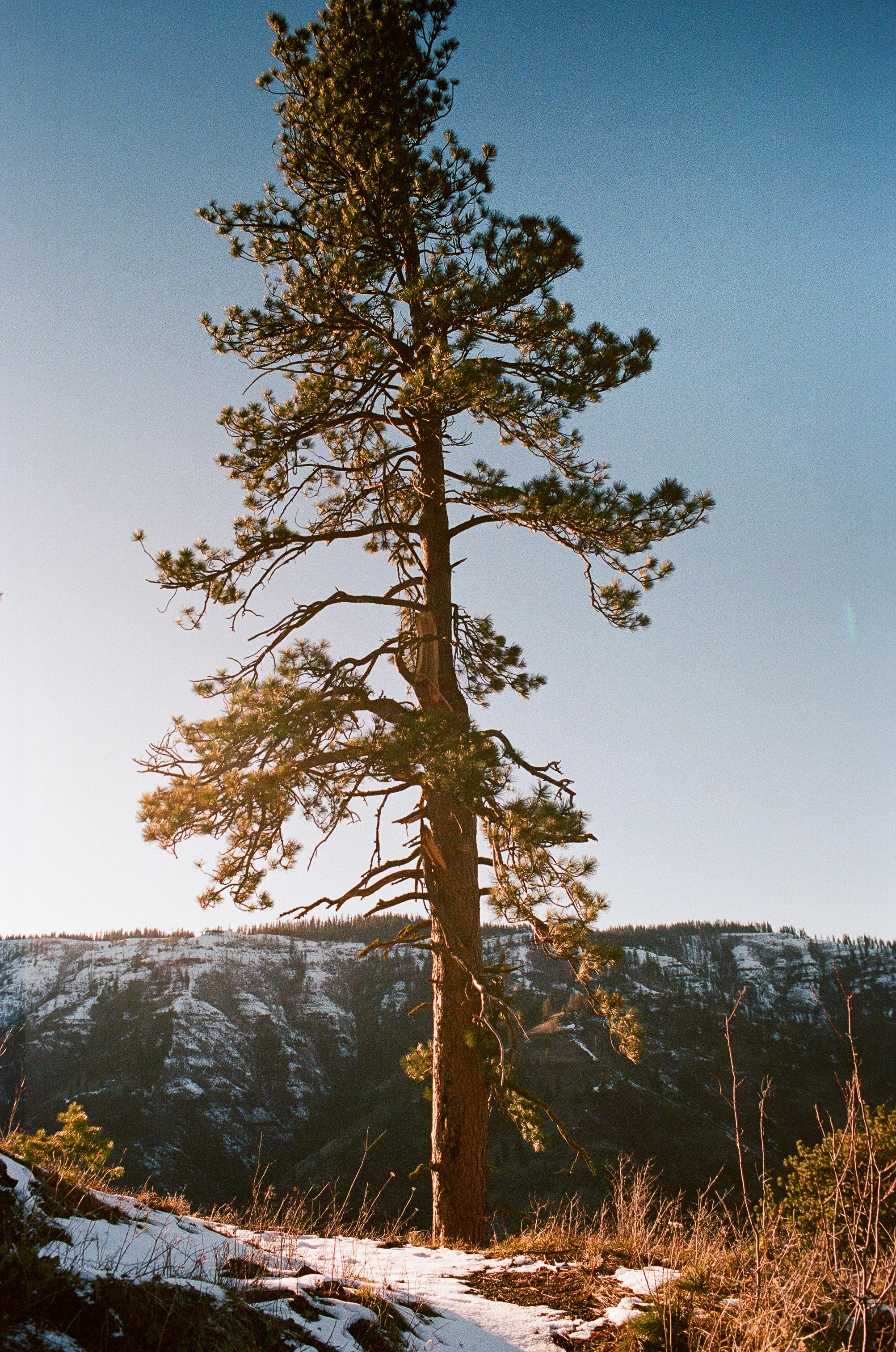 000013140015.jpg