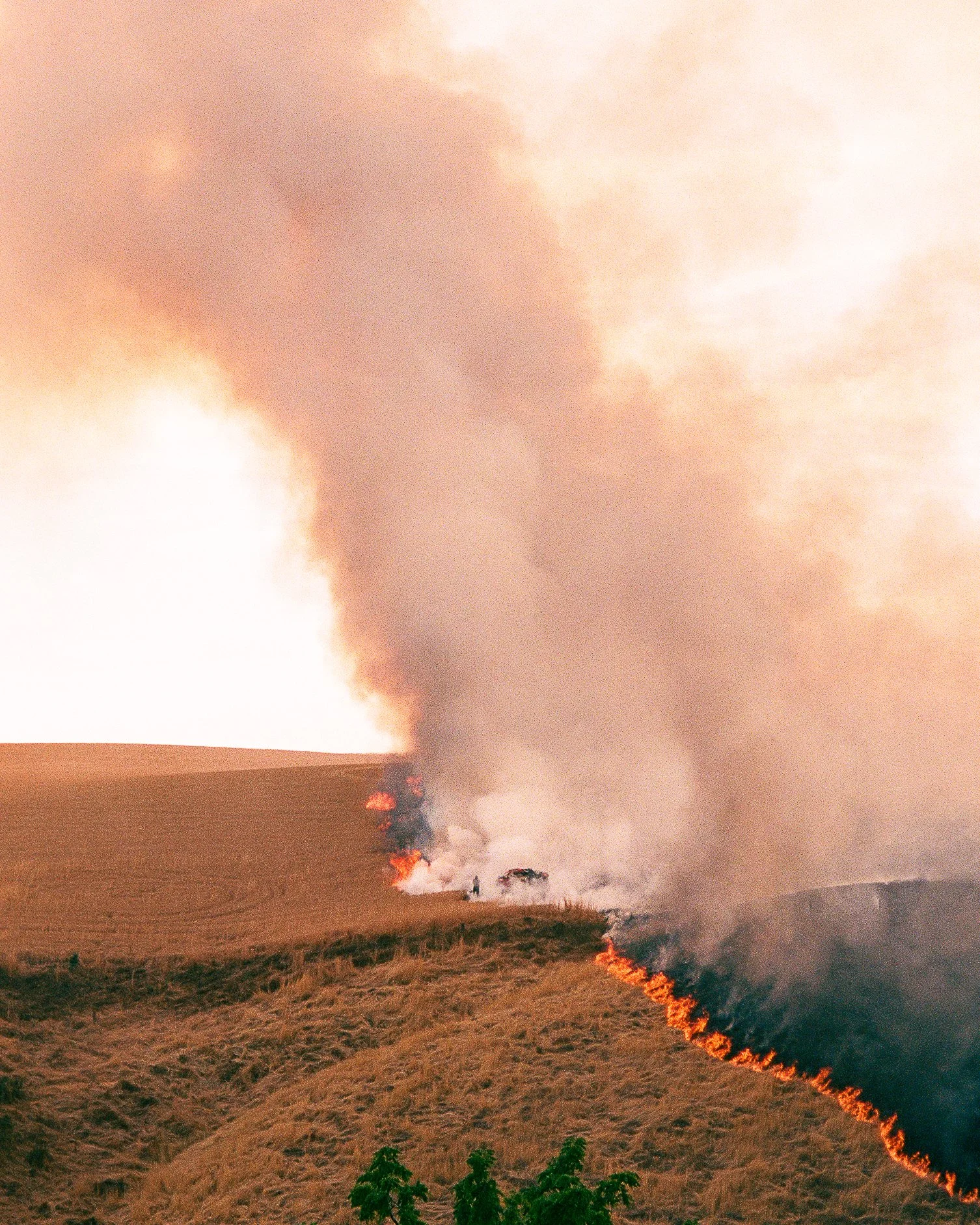 2841 - Kodak Ultramax 400 - 14.jpg