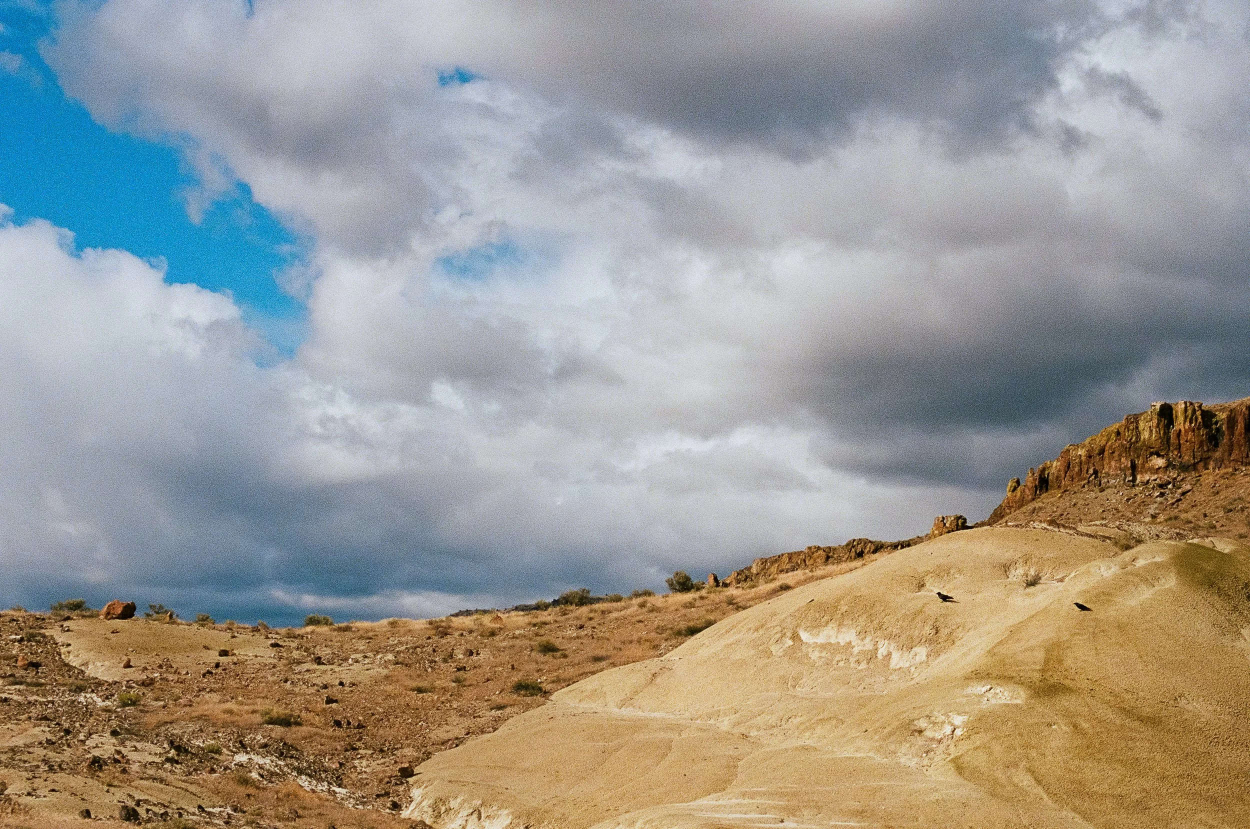 2749 - Kodak Portra 400 - 06.jpg
